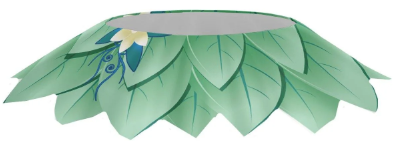 Lily Pad Fairy Top Skirt Lily Pad Fairy Top Skirt