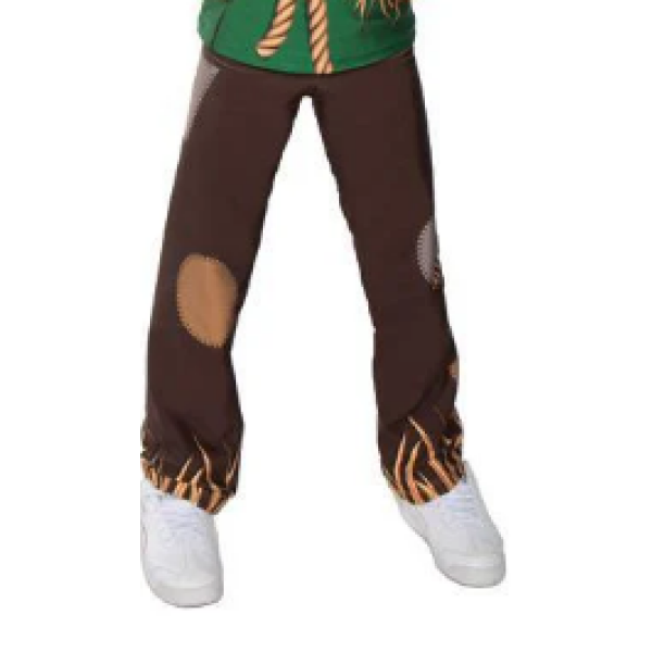 Scarecrow Boys Pant