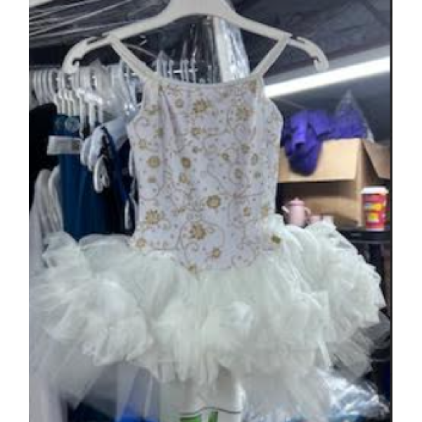 Princess Aurora dress